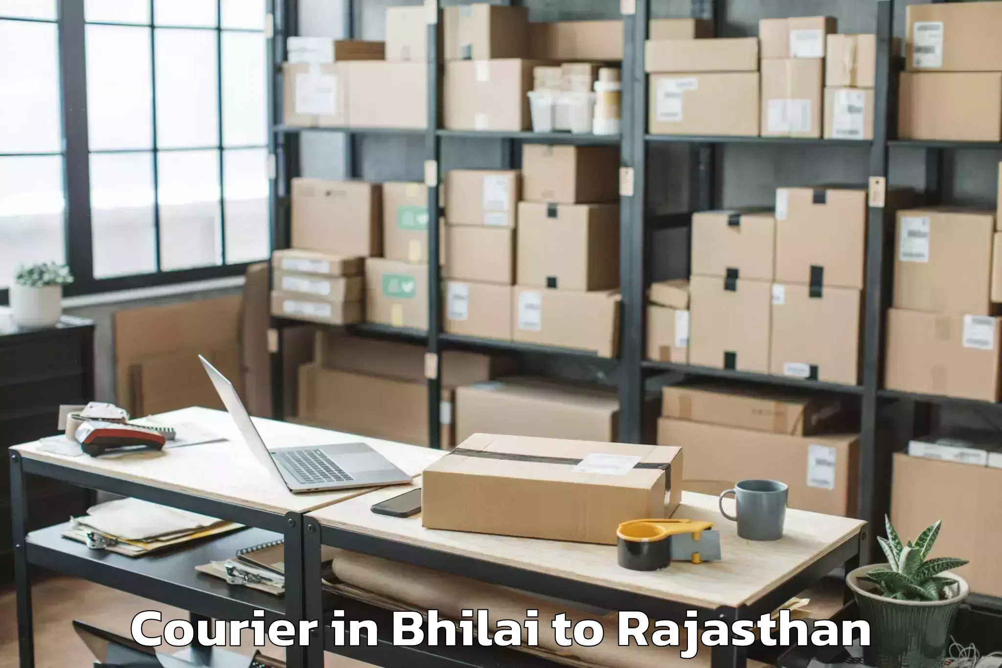 Easy Bhilai to Gogunda Courier Booking